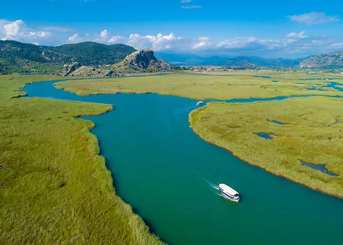 Crystal Dalyan