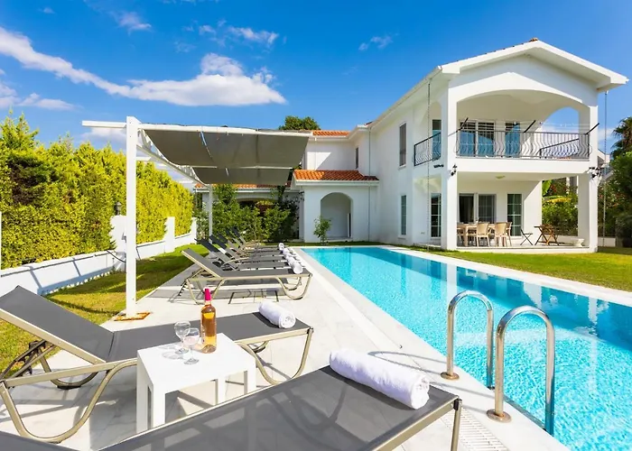 Crystal Willa Dalyan